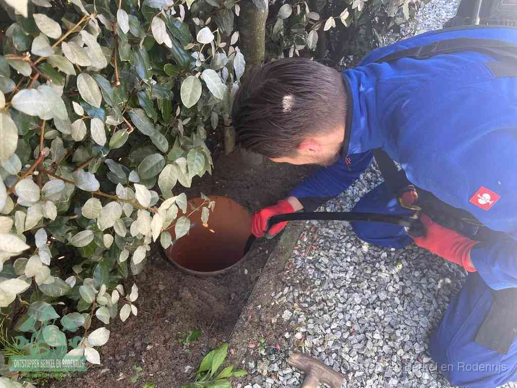 Een monteur voert een slang in een geopende rioolput in de tuin om het hoofdriool te ontstoppen in Berkel en Rodenrijs